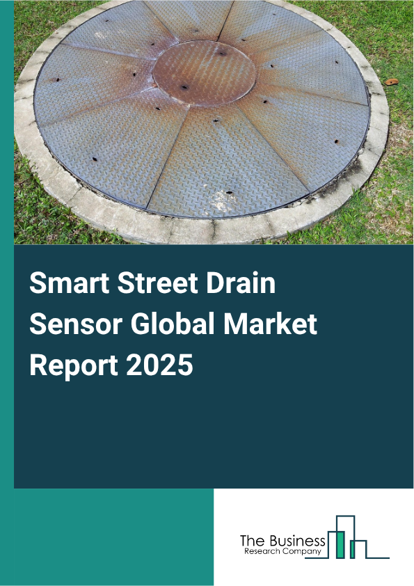 Global Smart Street Drain Sensor Market Report 2025