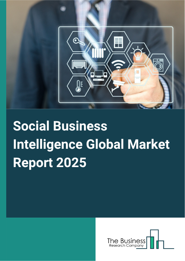 Global Social Business Intelligence Market Report 2025