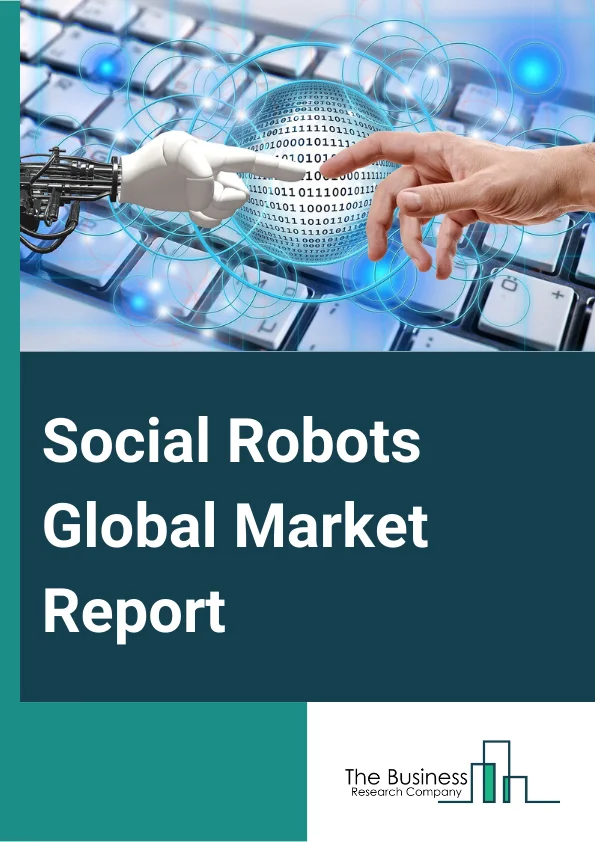 Social Robots Global Market Report 2024 