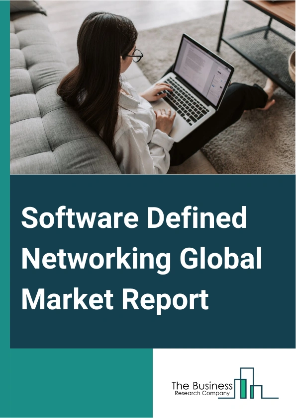 Global Software Defined Networking Market Report 2025