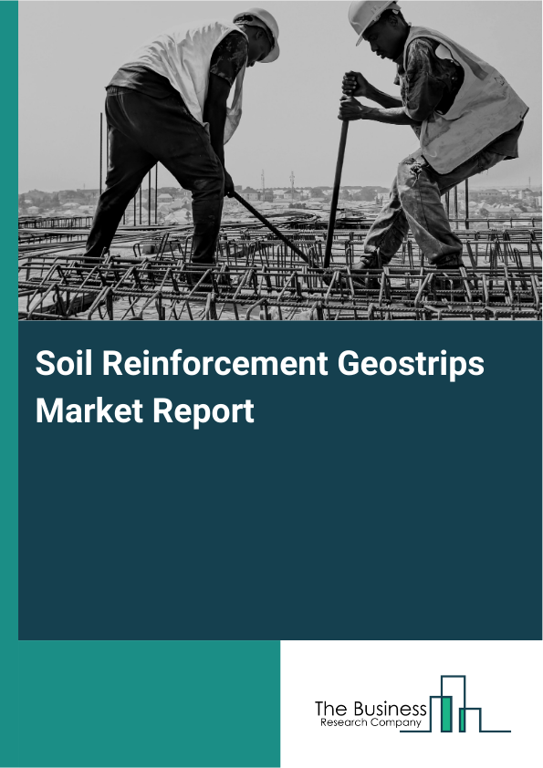 Soil Reinforcement Geostrips Market Report Infographic Image