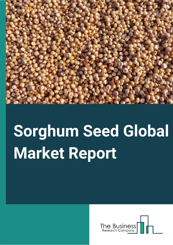 Sorghum Seed Global Market Report 2023 – By Product Type (Grain Sorghum, Sweet Sorghum, Forage Sorghum, Biomass Sorghum), By Application (Sorghum Planting, Sorghum Breeding), By End User (Animal Feed, Food Industry, Wine Making, Biofuel And Chemical Production, Other End Users) – Market Size, Trends, And Global Forecast 2023-2032