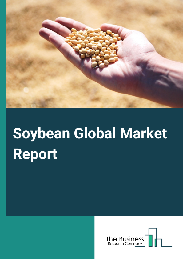 Global Soybean Market Report 2025