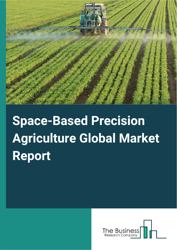Space-Based Precision Agriculture Market Size and growth rate 2025 to 2029: Graph