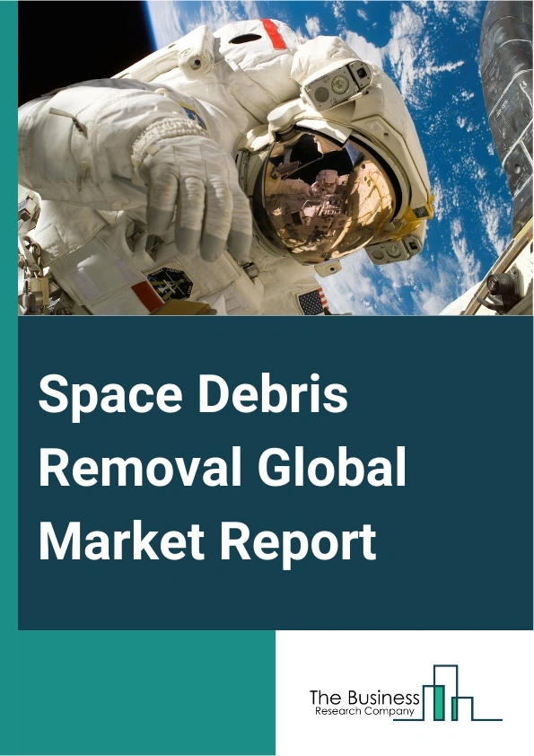Space Debris Removal