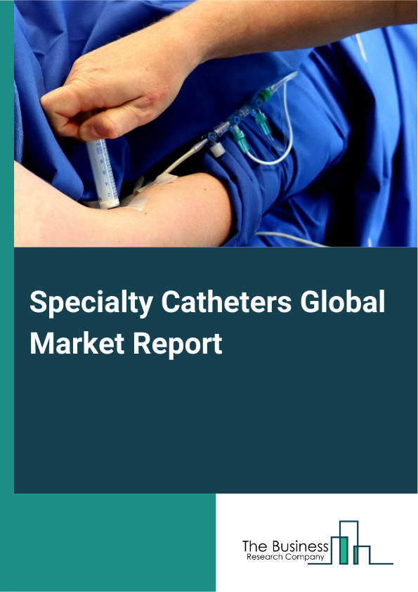 Global Specialty Catheters Market Report 2025