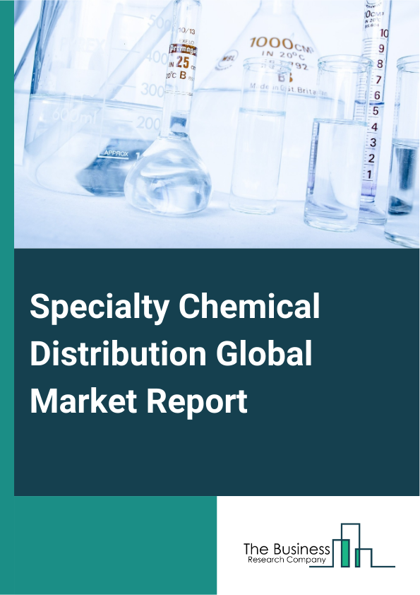 Global Specialty Chemical Distribution Market Report 2025