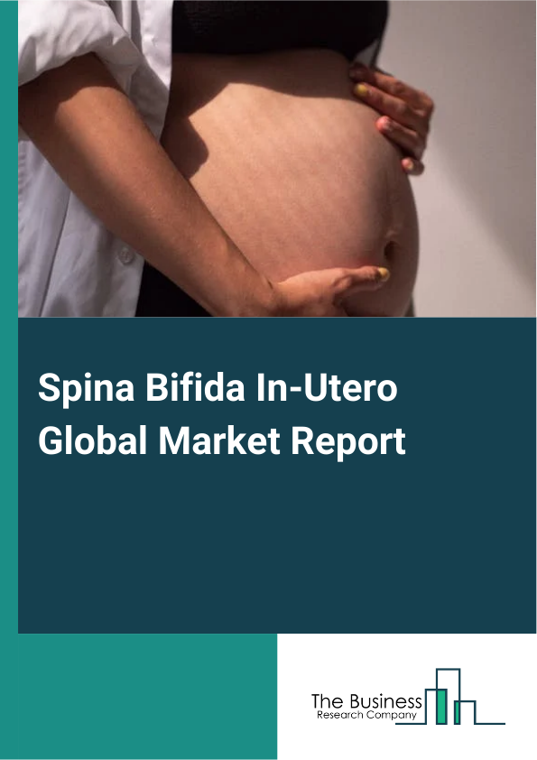 Global Spina Bifida In-Utero Market Report 2025