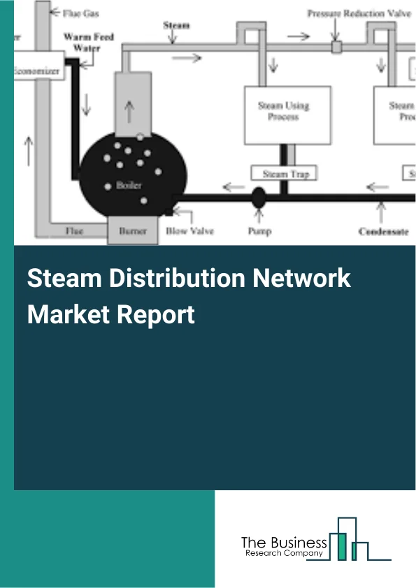 Steam Distribution Network Market Report Infographic Image