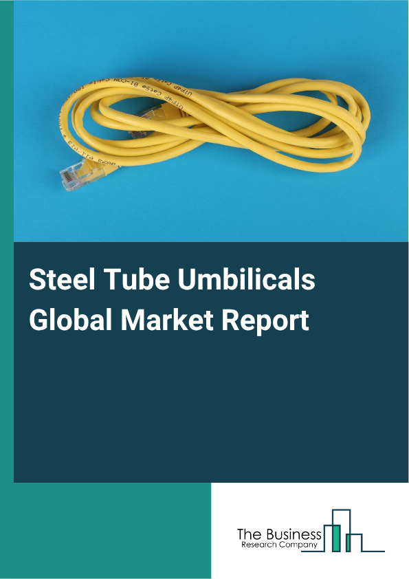 Steel Tube Umbilicals Market Size and growth rate 2025 to 2029: Graph