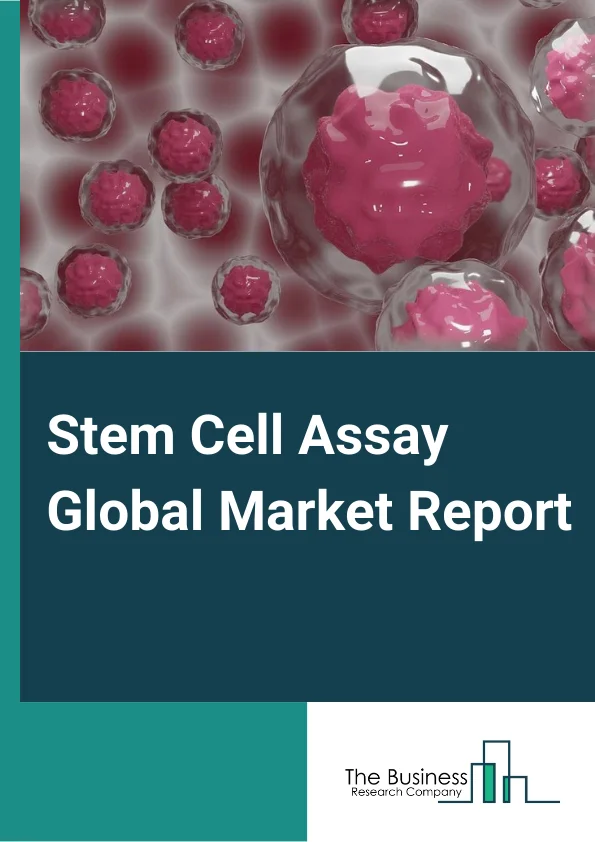 Stem Cell Assay Global Market Report 2023 – By Type (Cell Viability And Toxicity Assays, Cell Apoptosis Assays, Cell Function Assays, Cell Identification Assays, Isolation And Purification Assays, Cell Differentiation Assay, Other Types), By Product (Instruments, Detection kit), By Application (Regenerative Medicine And Therapy Development, Drug Discovery And Development, Clinical Research), By End User (Government Research Institutes, Private Research Institutes, Industry Research) – Market Size, Trends, And Global Forecast 2023-2032