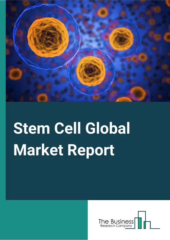 Stem Cell Global Market Report 2024 – By Source (Autologous, Allogeneic), By Product Type (Adult Stem Cell, Human Embryonic Stem Cell, Induced Pluripotent Stem Cell, Other Products), By Application (Regenerative Medicine, Drug Discovery And Development) – Market Size, Trends, And Global Forecast 2024-2033