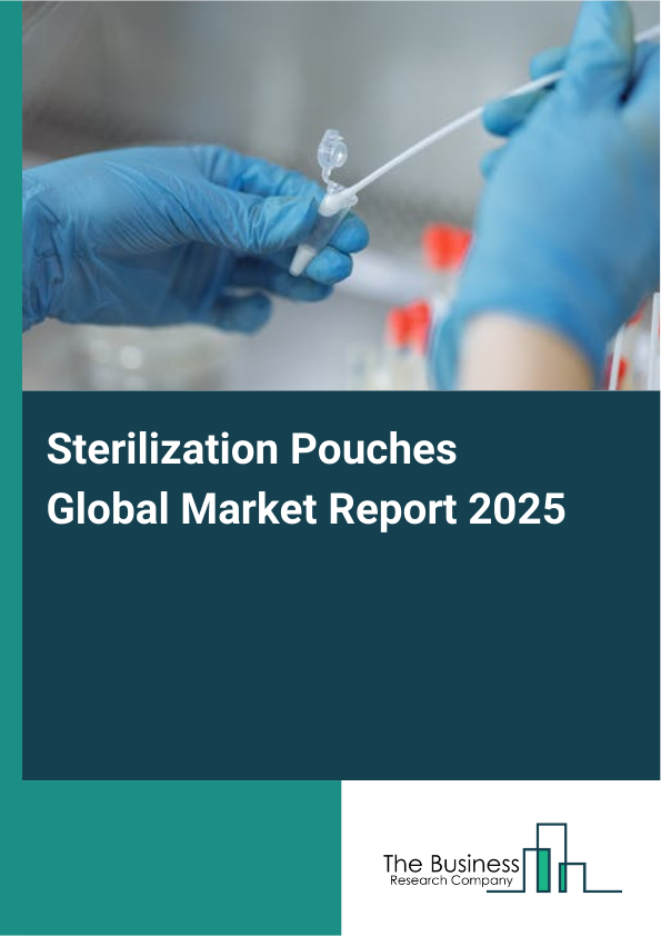 Global Sterilization Pouches Market Report 2025