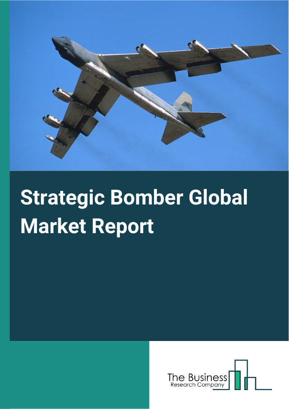 Global Strategic Bomber Market Report 2025