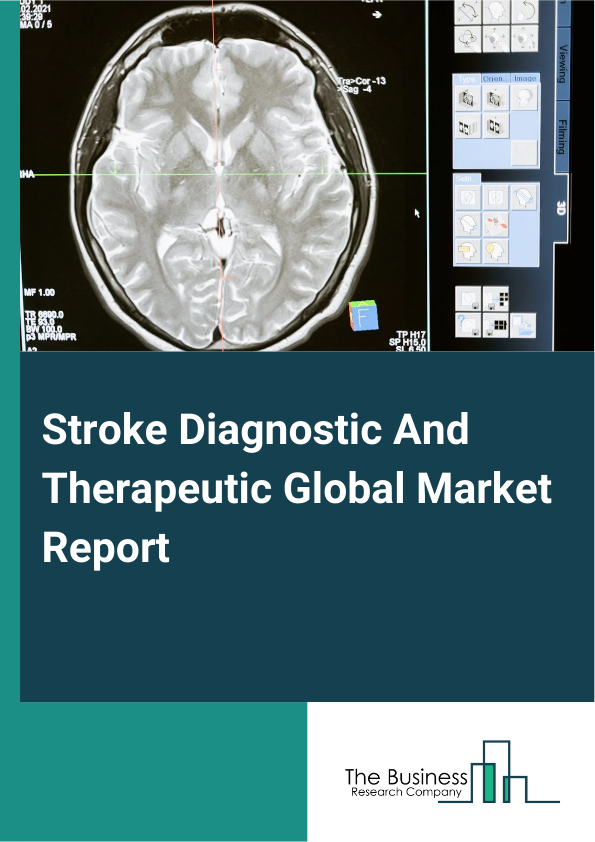 Global Stroke Diagnostic And Therapeutic Market Report 2025