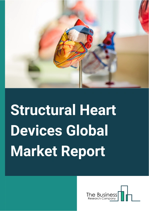 Global Structural Heart Devices Market Report 2025