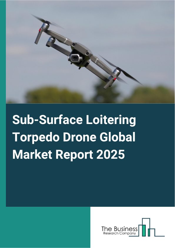 Global Sub-Surface Loitering Torpedo Drone Market Report 2025