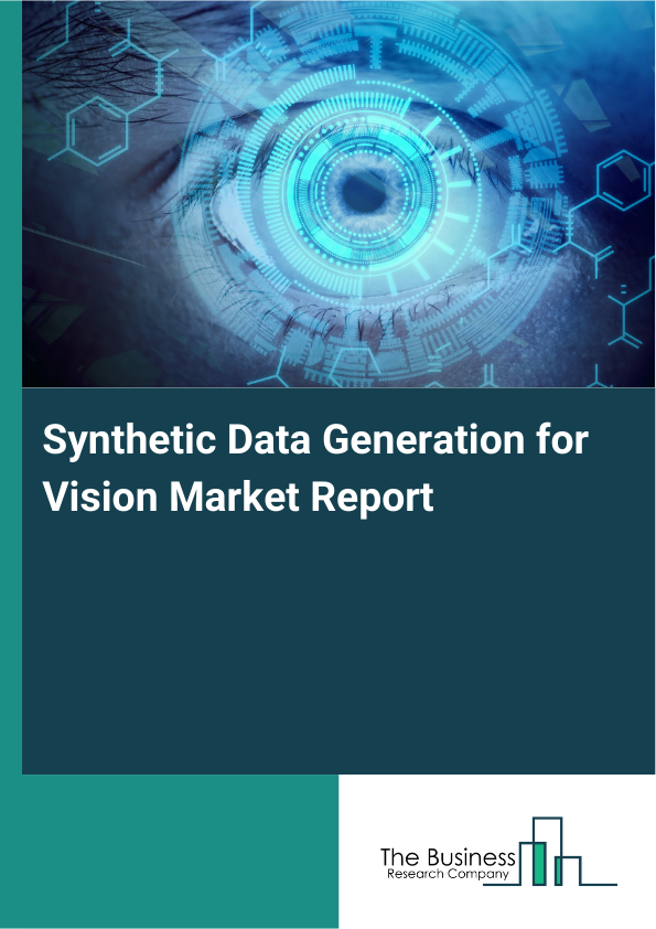 Synthetic Data Generation for Vision Market Report Infographic Image
