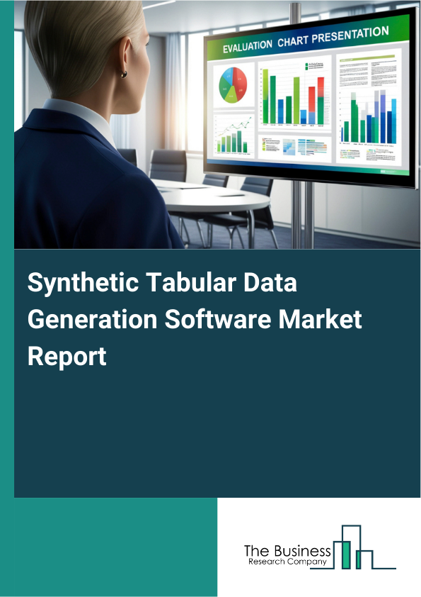 Synthetic Tabular Data Generation Software Market Report Infographic Image
