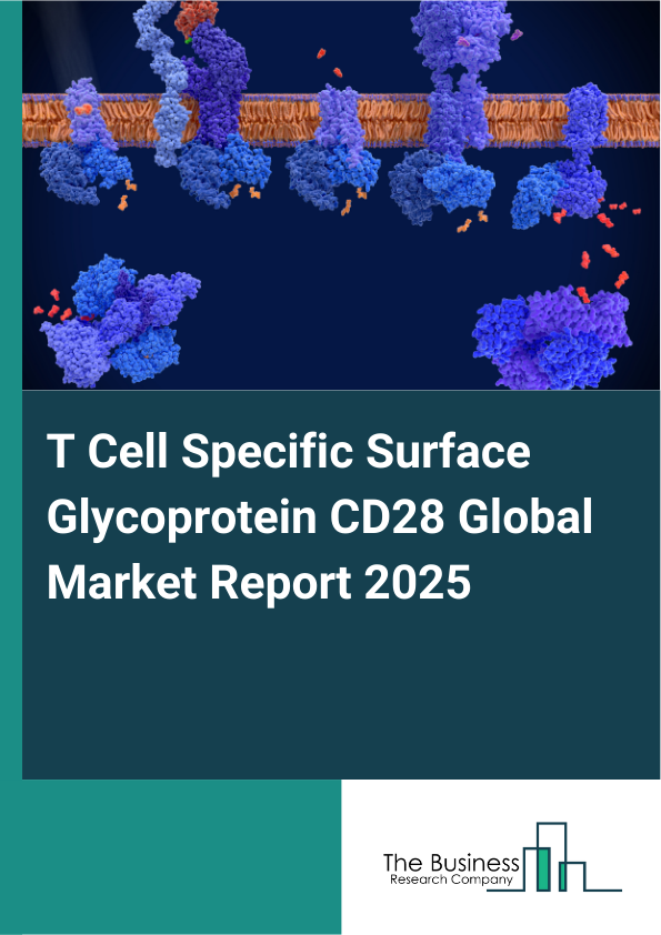 Global T Cell Specific Surface Glycoprotein CD28 Market Report 2025