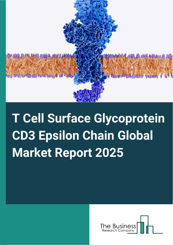 Global T Cell Surface Glycoprotein CD3 Epsilon Chain Market Report 2025
