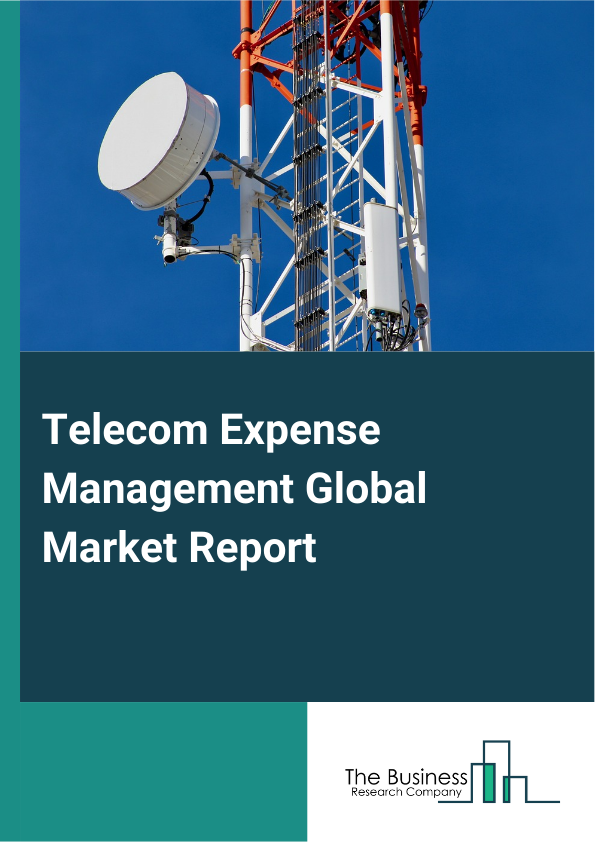 Global Telecom Expense Management Market Report 2025