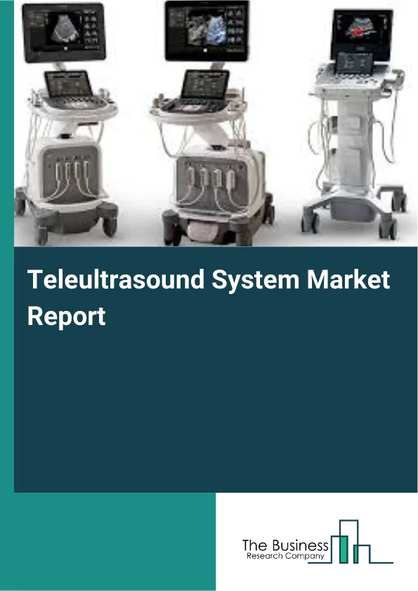 Teleultrasound System Market Report Infographic Image