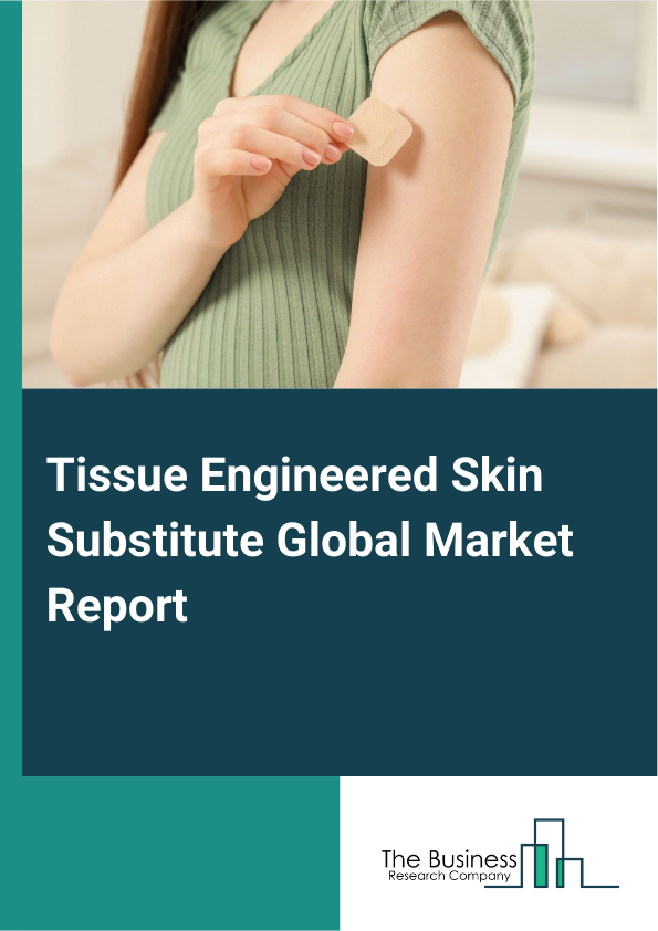 Tissue Engineered Skin Substitute