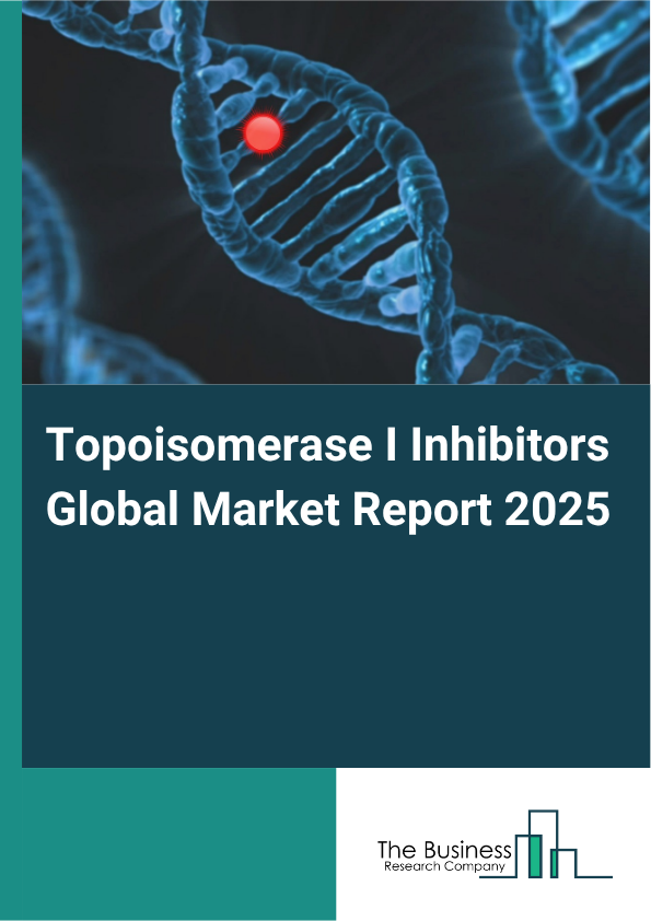 Global Topoisomerase I Inhibitors Market Report 2025