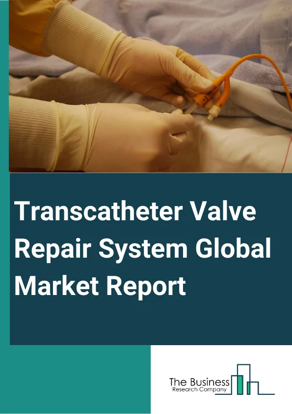 Transcatheter Valve Repair System