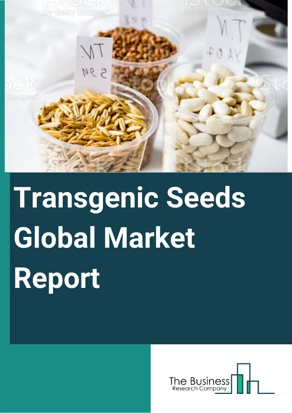 Global Transgenic Seeds Market Report 2024