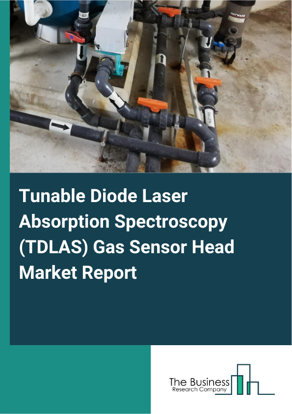 Tunable Diode Laser Absorption Spectroscopy (TDLAS) Gas Sensor Head Market Report Infographic Image