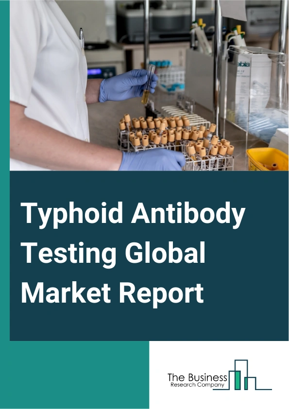 Typhoid Antibody Testing Global Market Report 2025 – By Product Type (Rapid Serological Tests, Hem-agglutination And Co-agglutination, Counter Immunoelectrophoresis, Typhidot Test, Widal Test), By Paratyphi Type (Paratyphi A, Paratyphi B, Paratyphi C), By End-User (Hospitals, Serological Testing Centers, Clinics, Diagnostic Centers, Other End Users) – Market Size, Trends, And Global Forecast 2025-2034