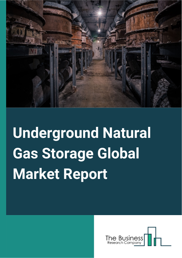Global Underground Natural Gas Storage Market Report 2025
