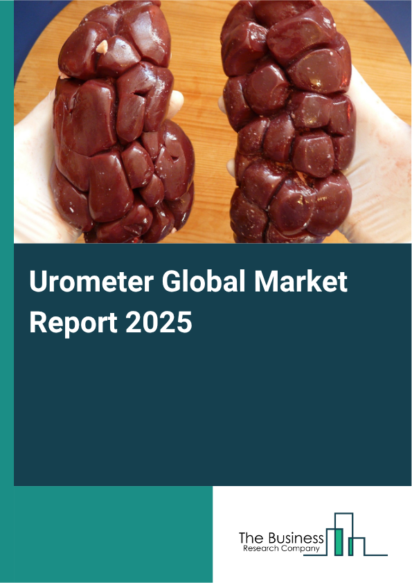 Global Urometer Market Report 2025