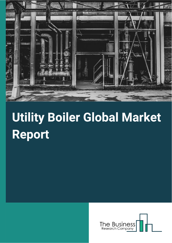Utility Boiler Market Size and growth rate 2025 to 2029: Graph