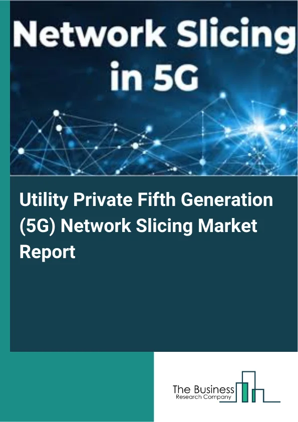 Utility Private Fifth Generation (5G) Network Slicing Market Report Infographic Image