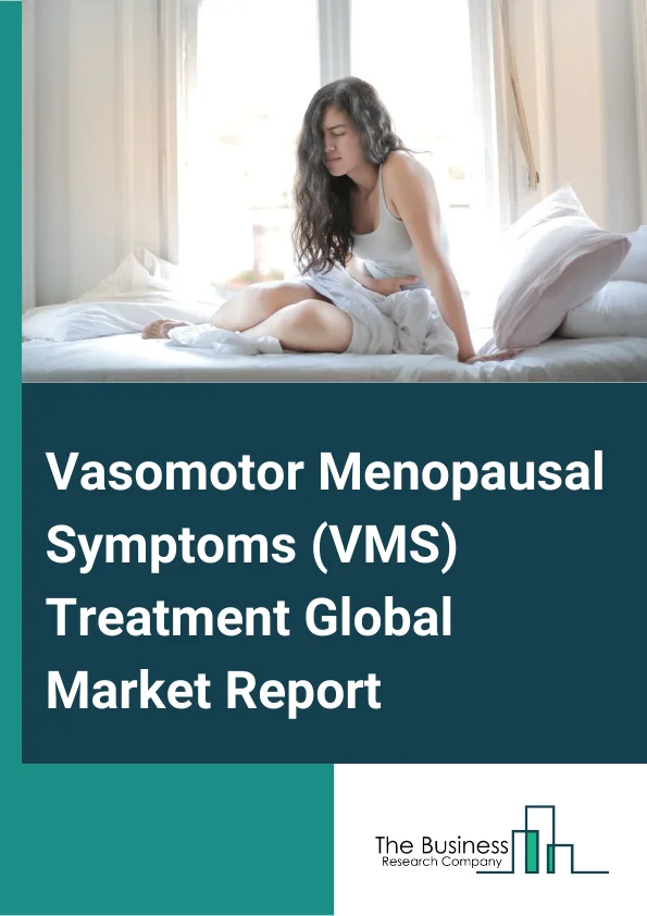 Vasomotor Menopausal Symptoms (VMS) Treatment Global Market Report 2024 – By Drug Class (Antidepressants, Fluoxetine, Paroxetine, Sertraline, Hormone Therapy, Anticonvulsant, Phenytoin, Phenobarbital, Other Drug Classes), By Distribution Channel (Hospital Pharmacy, Retail Pharmacy, Online Pharmacy, Other Distribution Channels), By End-User (Hospitals, Specialty Clinics, Homecare, Other End-Users) – Market Size, Trends, And Global Forecast 2024-2033