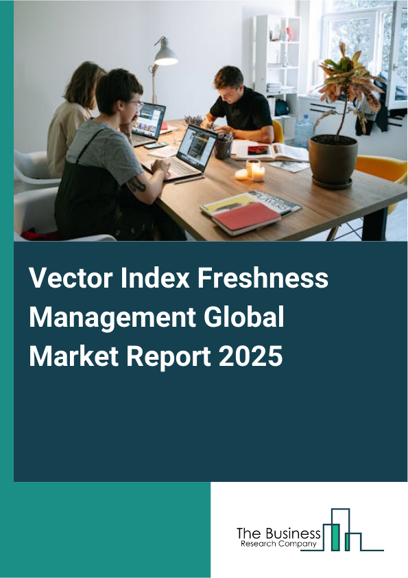 Vector Index Freshness Management Market Report Infographic Image