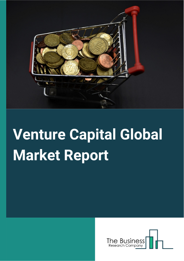 Global Venture Capital Market Report 2025