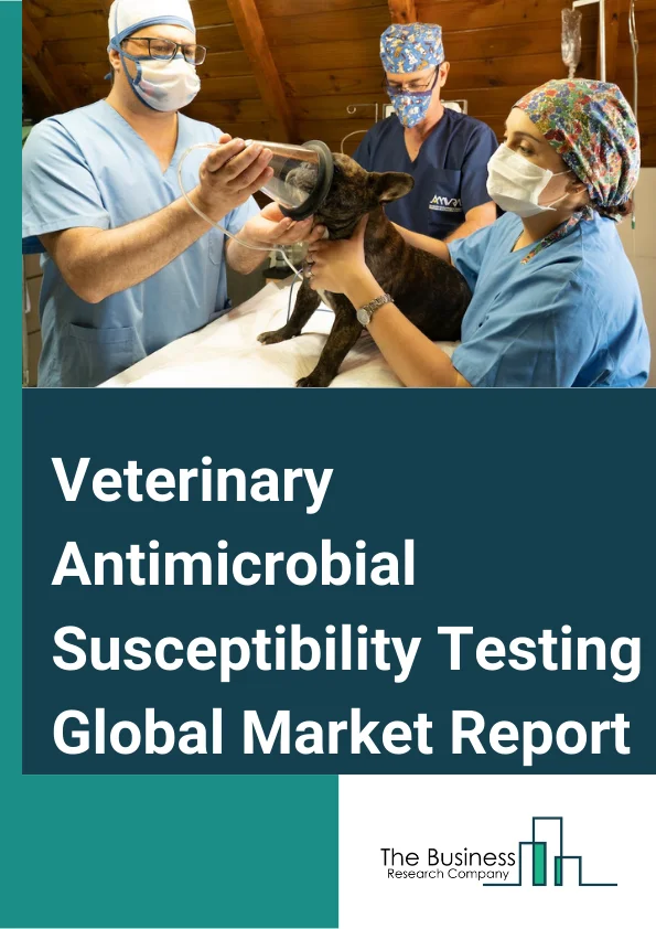 Veterinary Antimicrobial Susceptibility Testing Global Market Report 2025 – By Product Type( Disks And Plates, Culture Media, Accessories And Consumables, Automated AST (Antimicrobial Susceptibility Test) Instruments ), By Animal Type( Livestock Animals, Companion Animals ), By End-Use( Veterinary Reference Lab, Veterinary Research Institutes, Other End-Users) – Market Size, Trends, And Global Forecast 2025-2034
