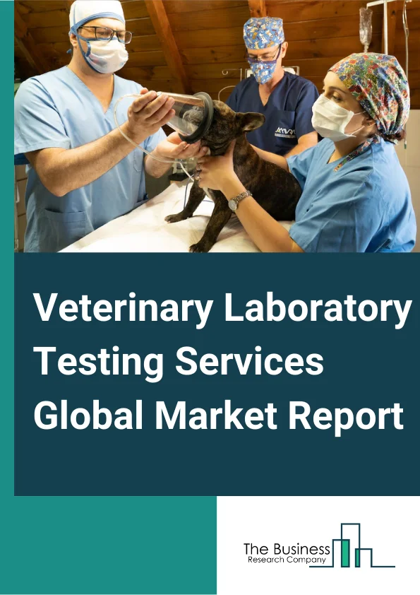 Veterinary Laboratory Testing Services Global Market Report 2023 – By Technology (Clinical Biochemistry, Immunodiagnostics, Hematology, Molecular Diagnostics, Urinalysis, Other Technologies), By Animal Type (Pet Animals, Livestock), By End User (Veterinary Hospitals And Clinics, Diagnostic Laboratories, Research Institutes, In-House Testing, Other End Users) – Market Size, Trends, And Market Forecast 2023-2032