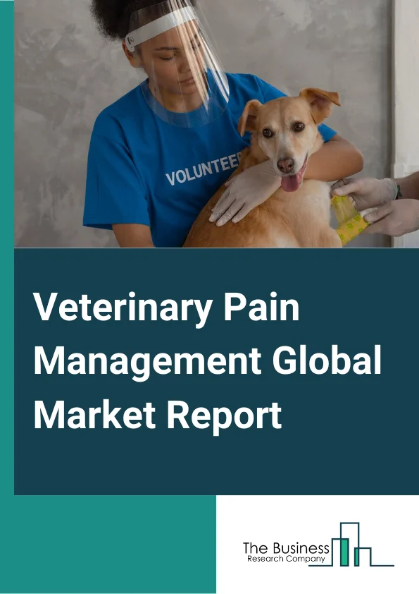 Veterinary Pain Management Global Market Report 2024 – By Product (Drugs, Devices), By Animal Type (Companion Animals, Livestock), By Distribution Channel (Hospitals and Clinics, Pharmacy), By Application (Joint Pain, Postoperative Pain, Cancer, Other Applications) – Market Size, Trends, And Global Forecast 2024-2033