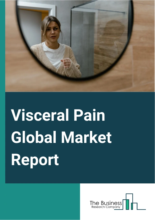 Visceral Pain Global Market Report 2025 – By Drug Class (Calcium Channel Blockers, Nonsteroidal Anti-Inflammatory (NSAID), Other Drug Classes), By Indications (Interstitial Cystitis, Crohn’s, Irritable Bowel, Chronic Prostatitis, Other Indications), By End Users (Hospitals, Homecare, Specialty Clinics, Other End Users) – Market Size, Trends, And Global Forecast 2025-2034