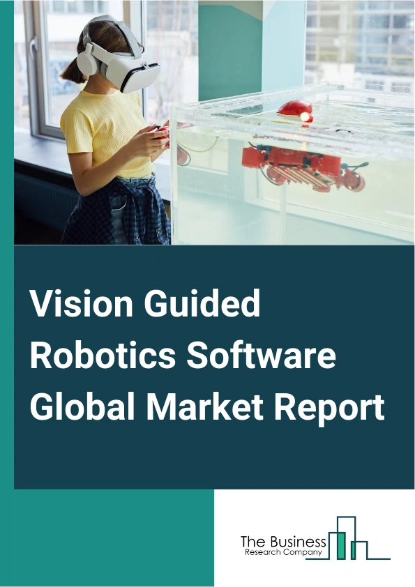 Global Vision Guided Robotics Software Market Report 2025