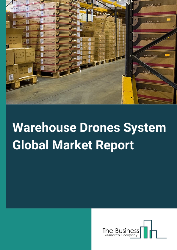 Global Warehouse Drones System Market Report 2025