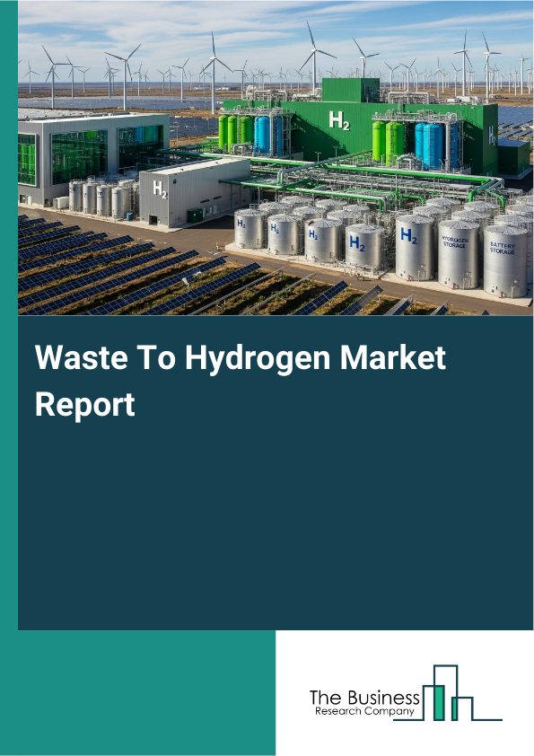 Waste To Hydrogen Market Report Infographic Image