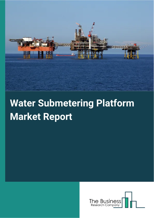Water Submetering Platform Market Report Infographic Image