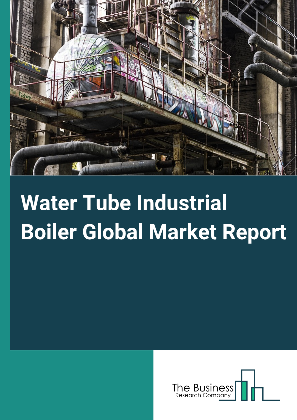 Water Tube Industrial Boiler Market Size and growth rate 2025 to 2029: Graph