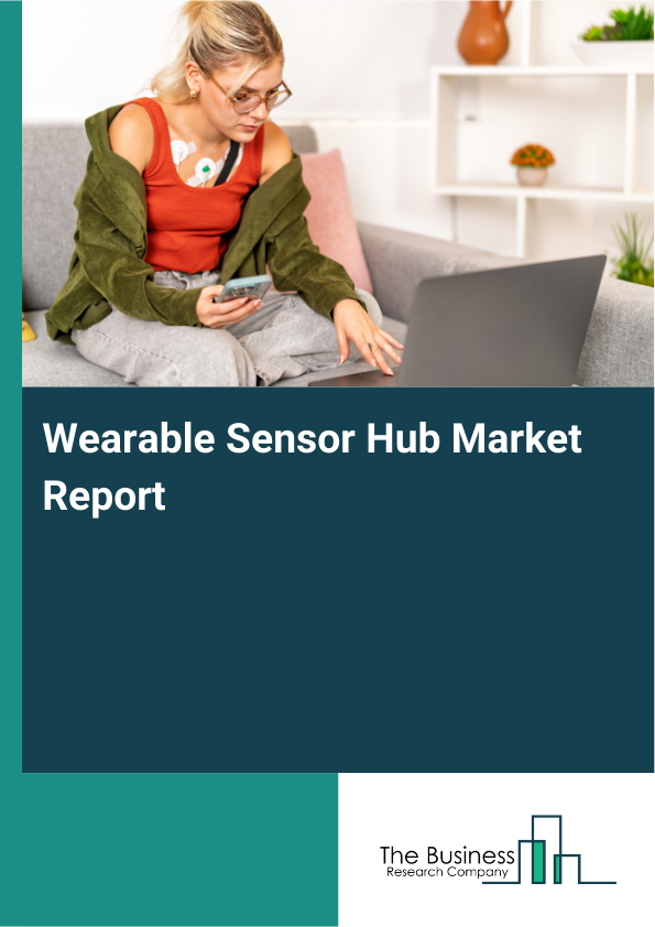 Wearable Sensor Hub Market Report Infographic Image